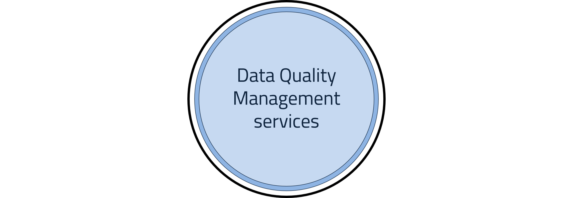 Data quality management final